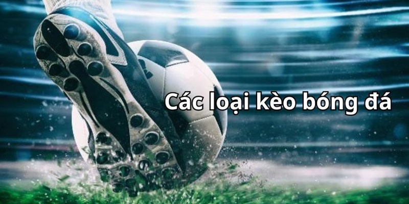 Kèo bóng đá hôm nay 8KBET com gồm các tỷ lệ nào?